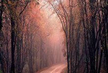 [乒乓球]WTT世界乒联发布声明回应关切.