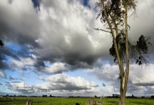 2025年山东省体育局长会议召开.