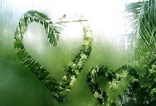 虎扑体育官网：Stein：巴特勒与太阳互相有意 还需找到愿接收比尔的球队北青网.