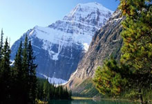 [乒乓球]WTT世界乒联发布声明回应关切.